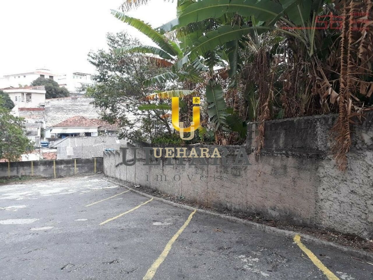 Terreno para Venda - Casa Verde