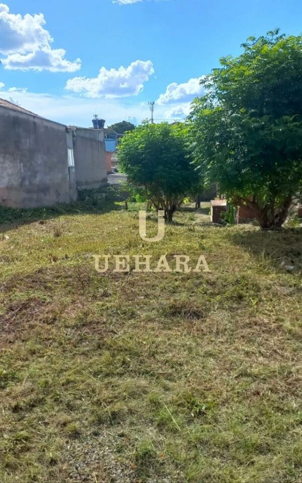 Terreno para Venda - Limão