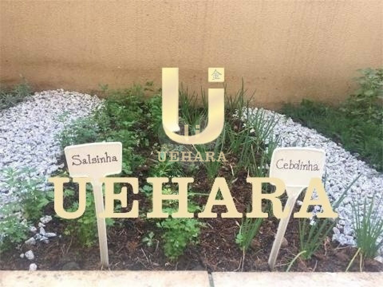 Apartamento para Venda - Santa Teresinha