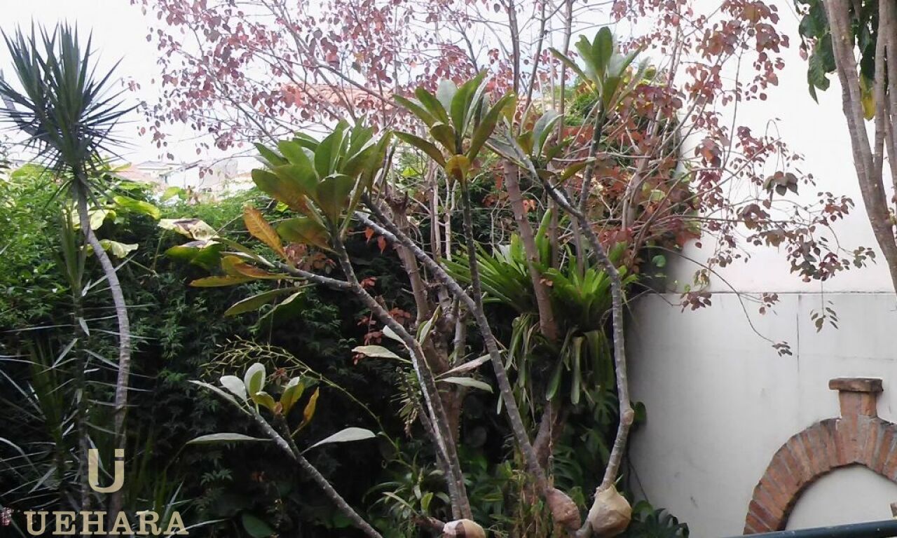 Sobrado para Venda - Vila Santana