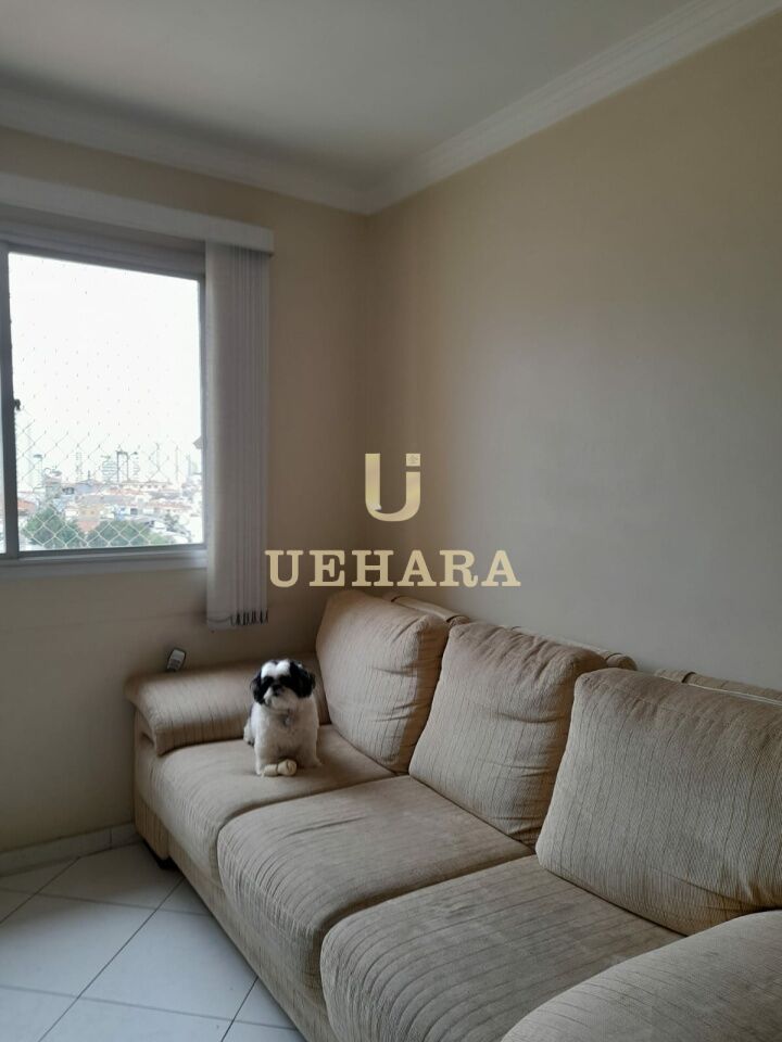 Apartamento para Venda - Imirim