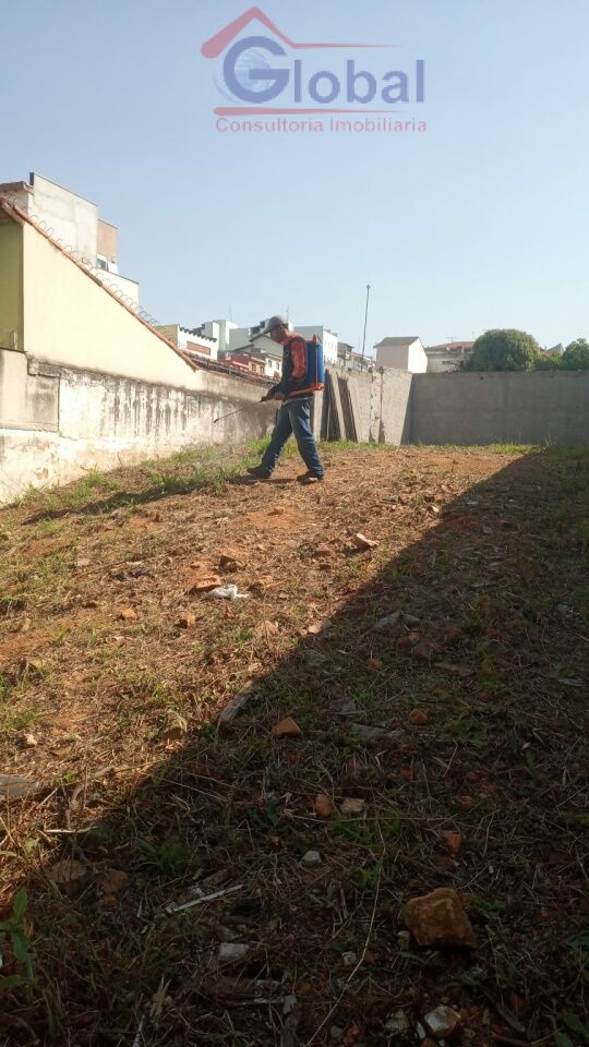 Terreno para Venda - SANTA MARIA