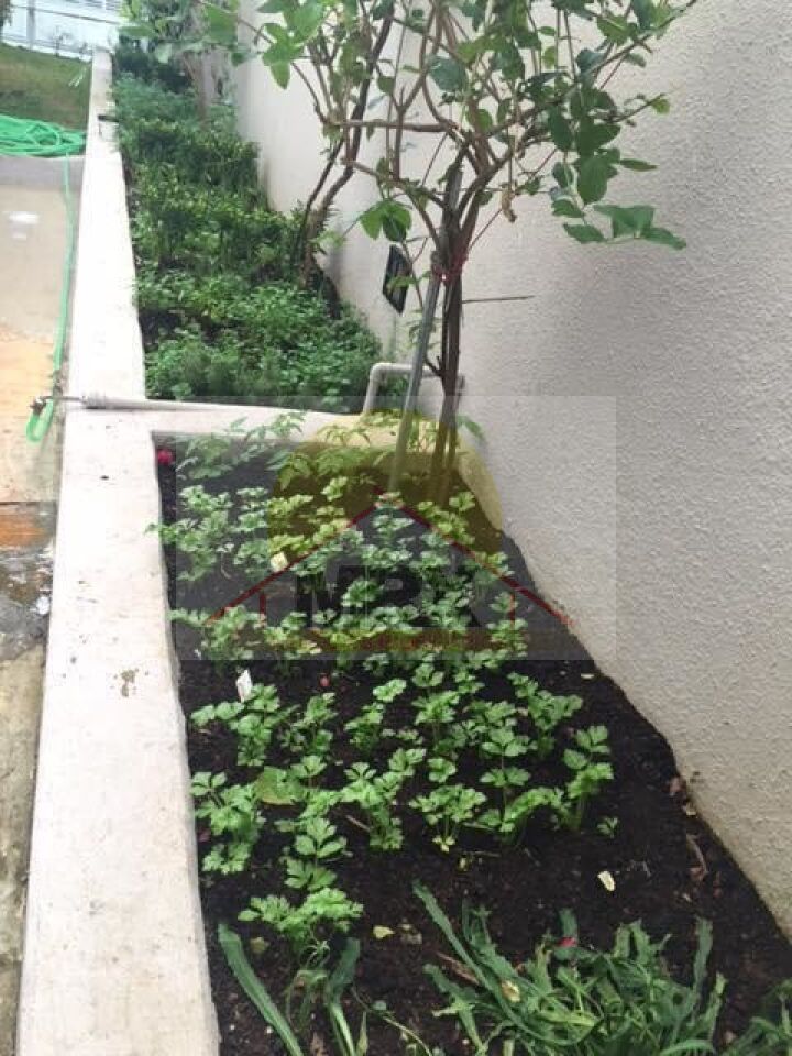 Apartamento, 3 quartos, 100 m² - Foto 27