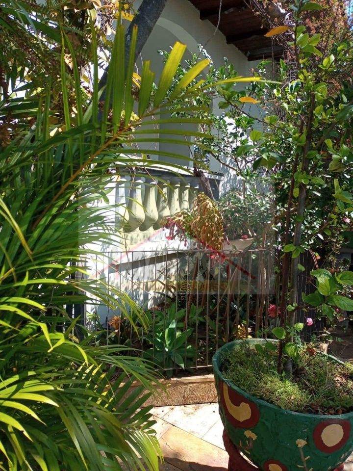 Casa, 3 quartos, 330 m² - Foto 18