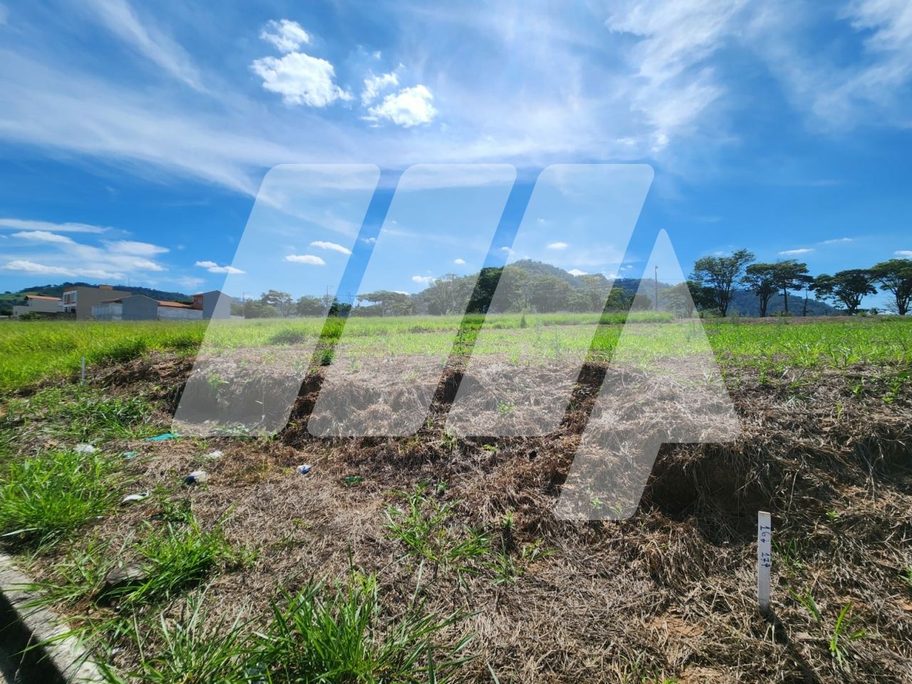 Terreno para Venda - Desmembramento Raccioni