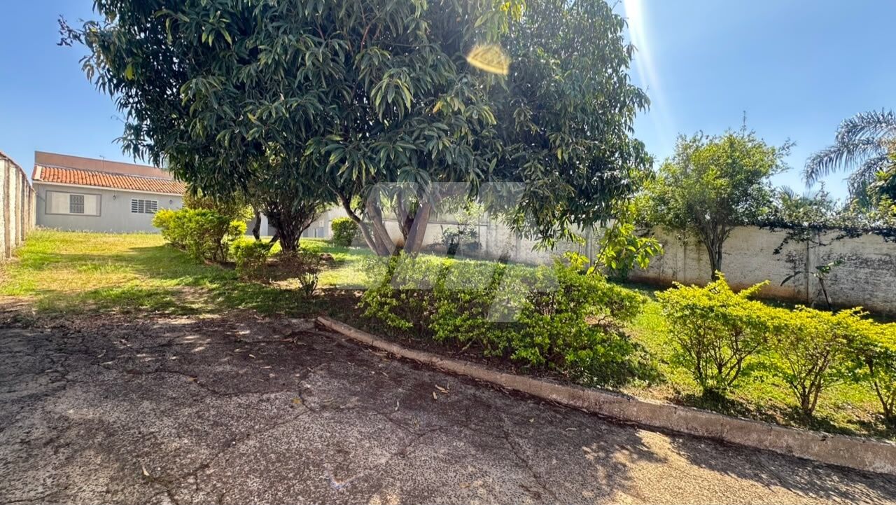 Colina de São Pedro