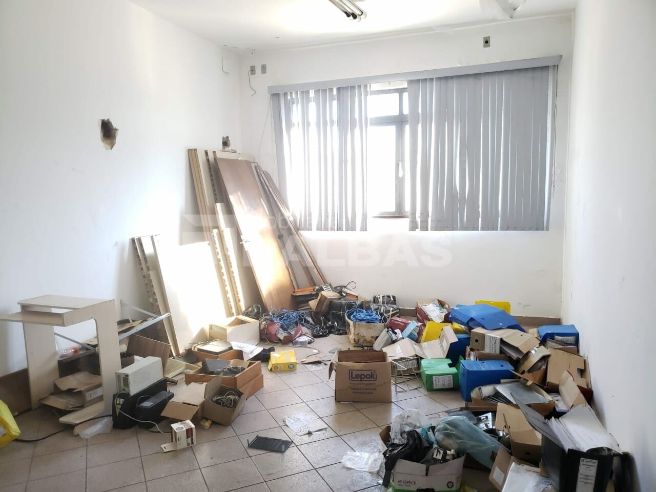 Foto 12