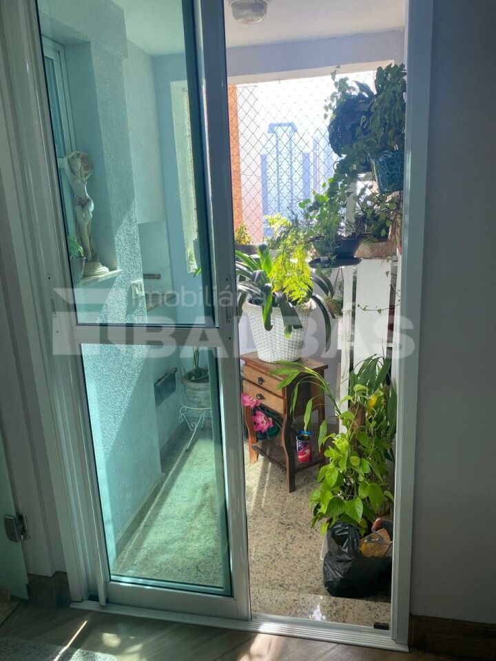 Foto 21