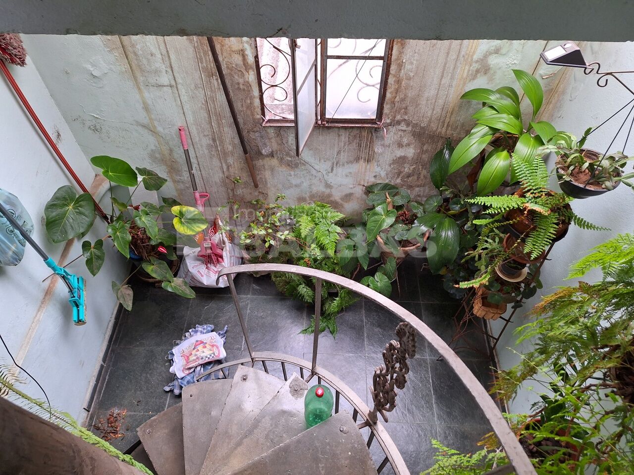 Foto 7