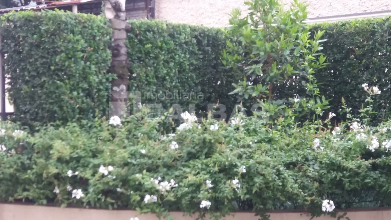 Foto 29