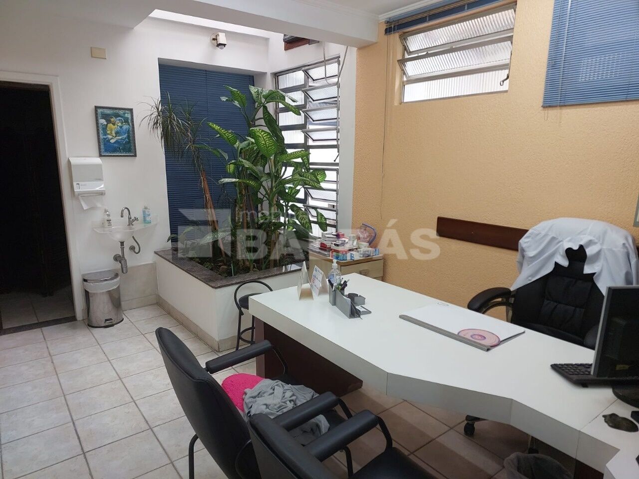 Foto 15