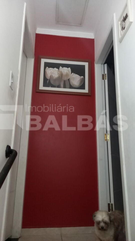 Foto 20