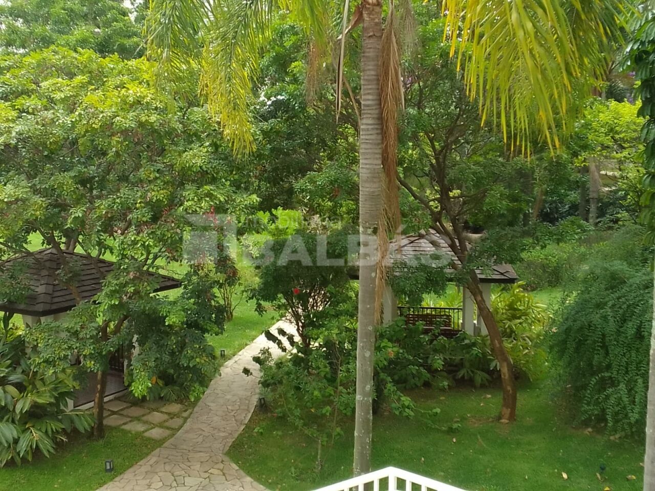 Foto 7