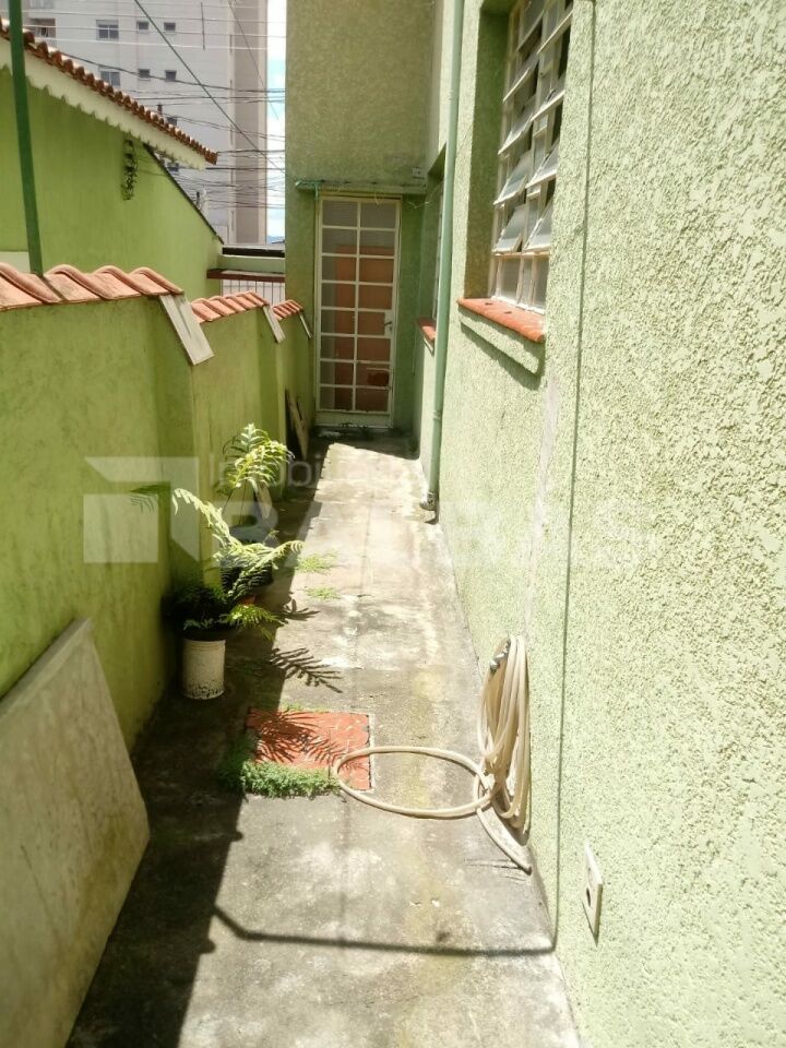 Foto 21