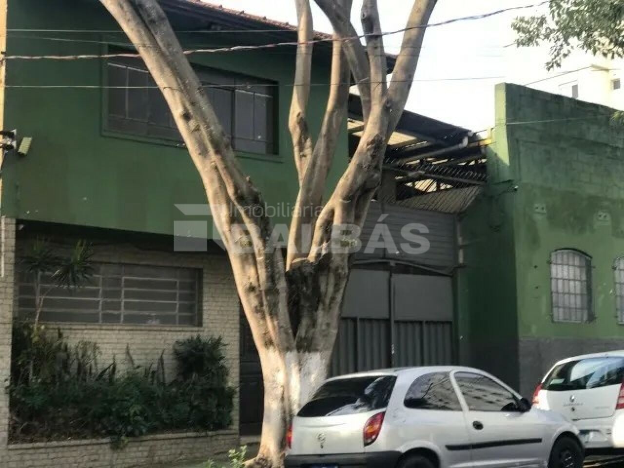 Foto 3