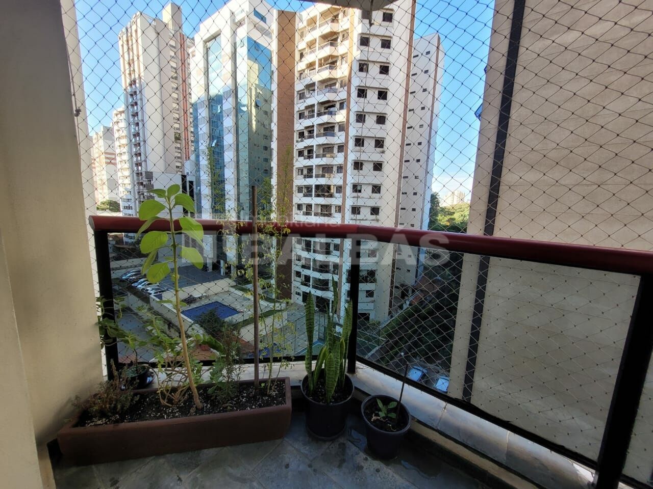 Foto 33