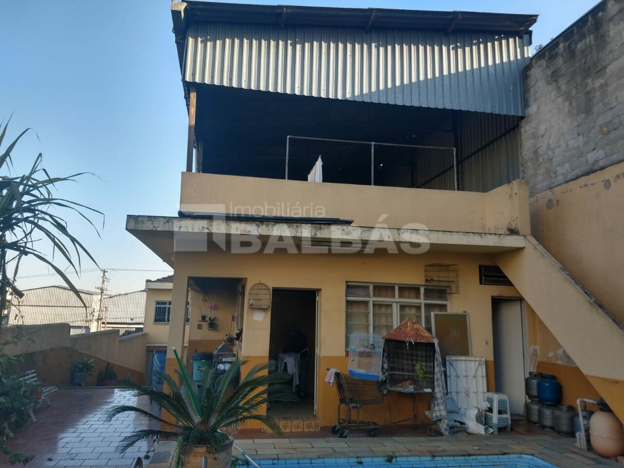 Foto 5