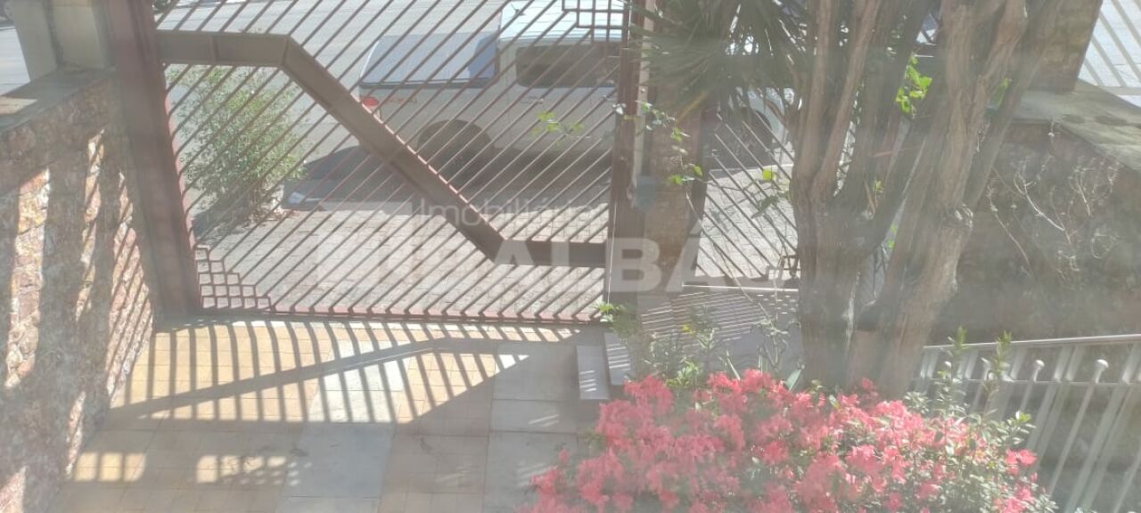 Foto 41