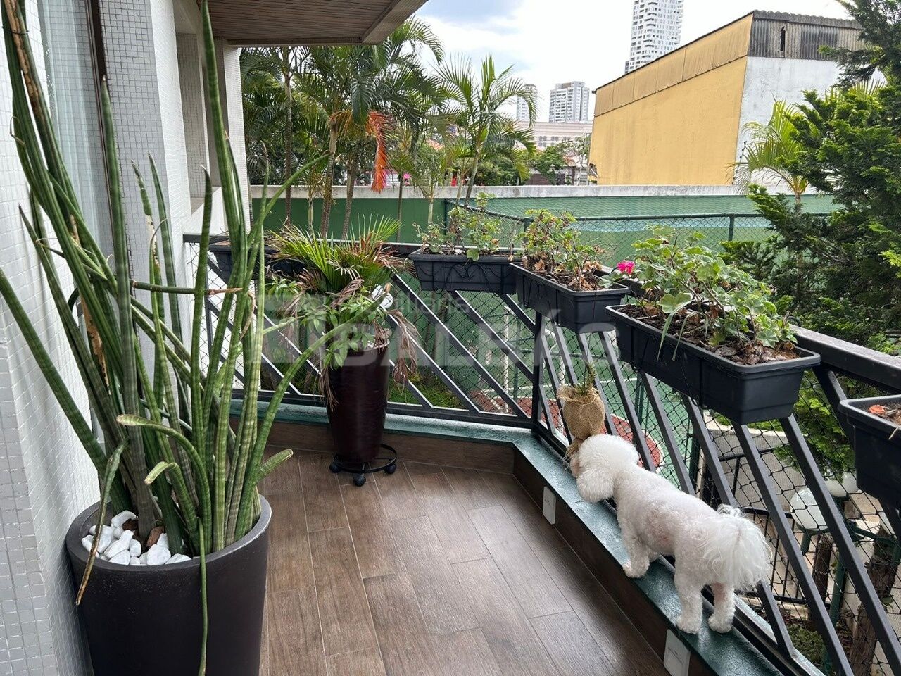 Foto 38