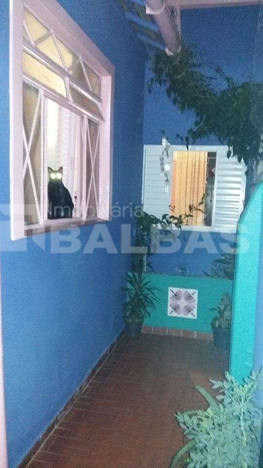 Foto 22