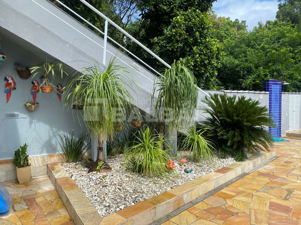 Foto 5