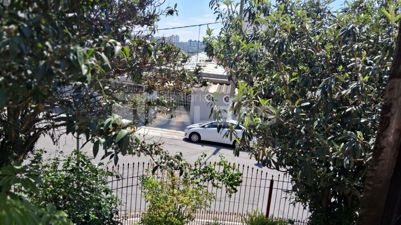 Foto 30