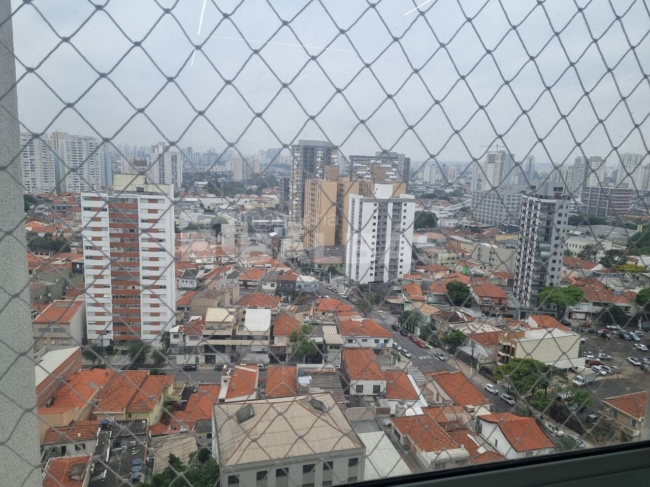 Foto 19