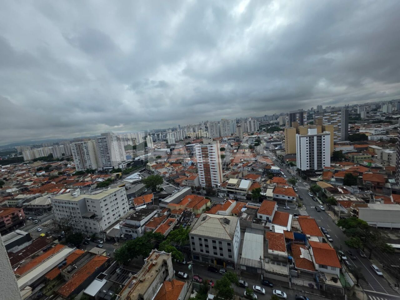 Foto 19