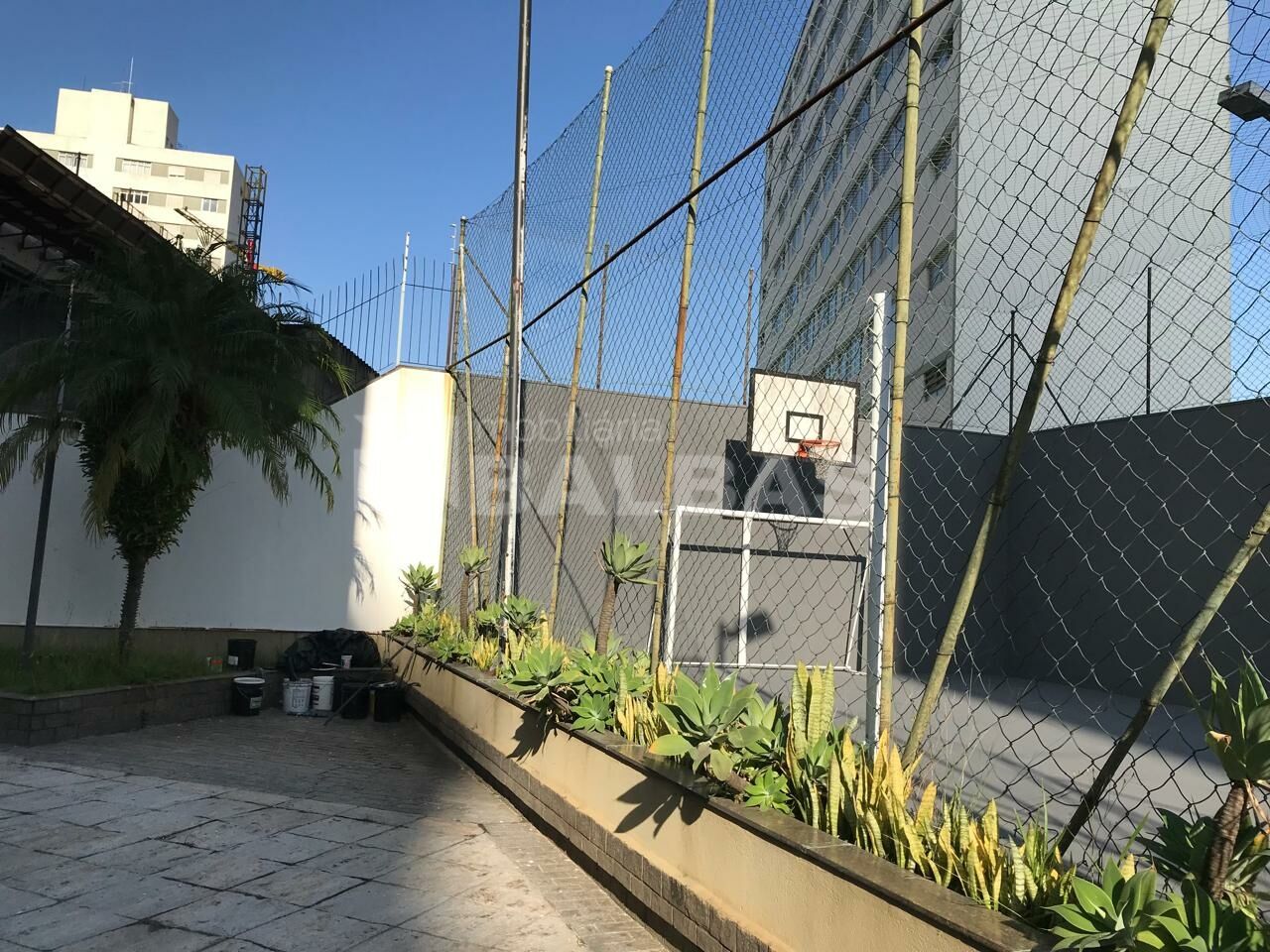 Foto 48