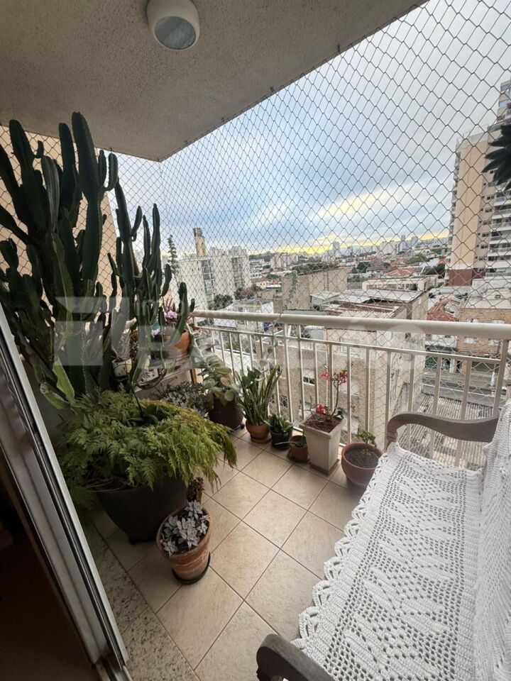 Foto 19