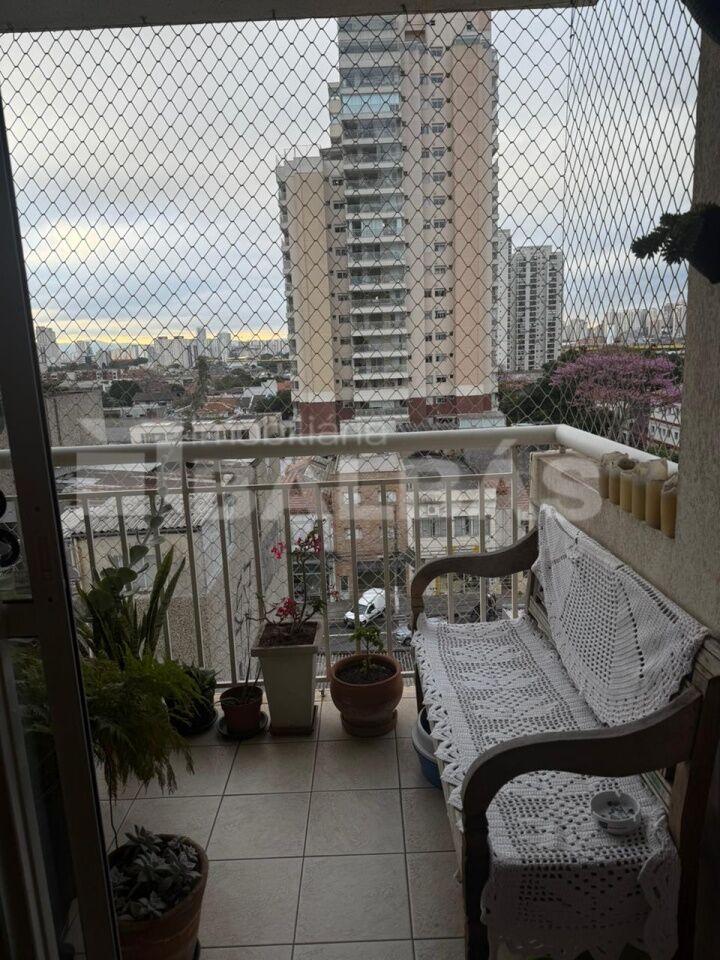 Foto 20