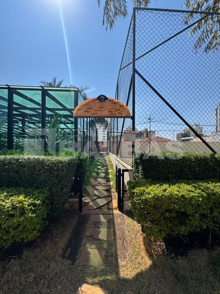 Foto 41