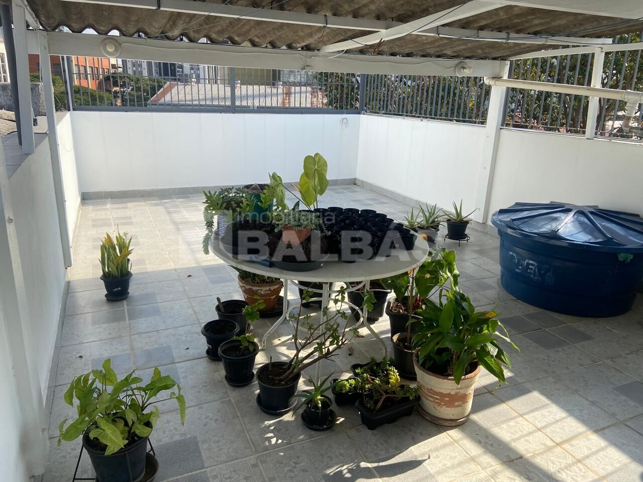 Foto 19