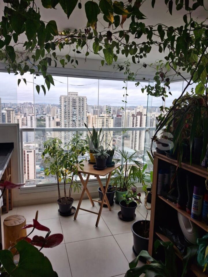 Foto 9