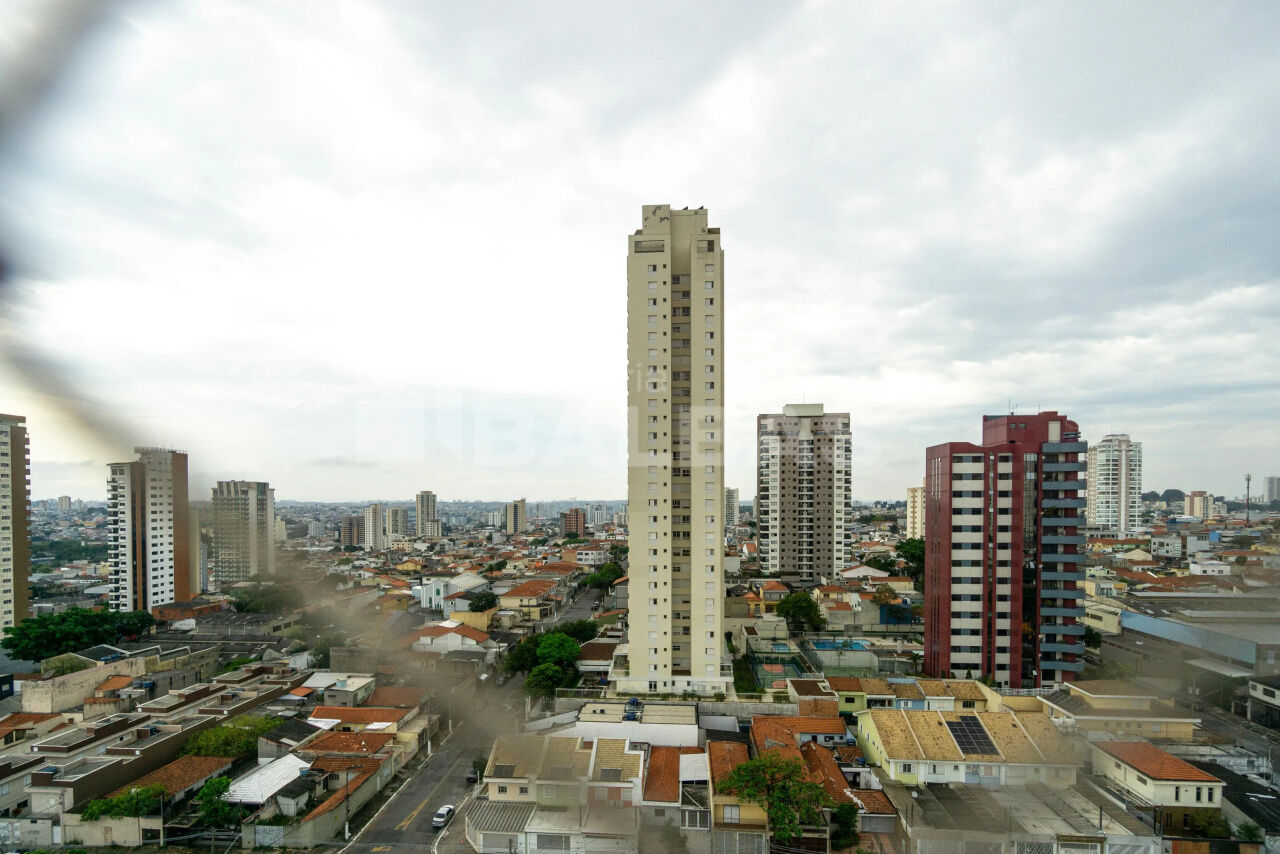Foto 19