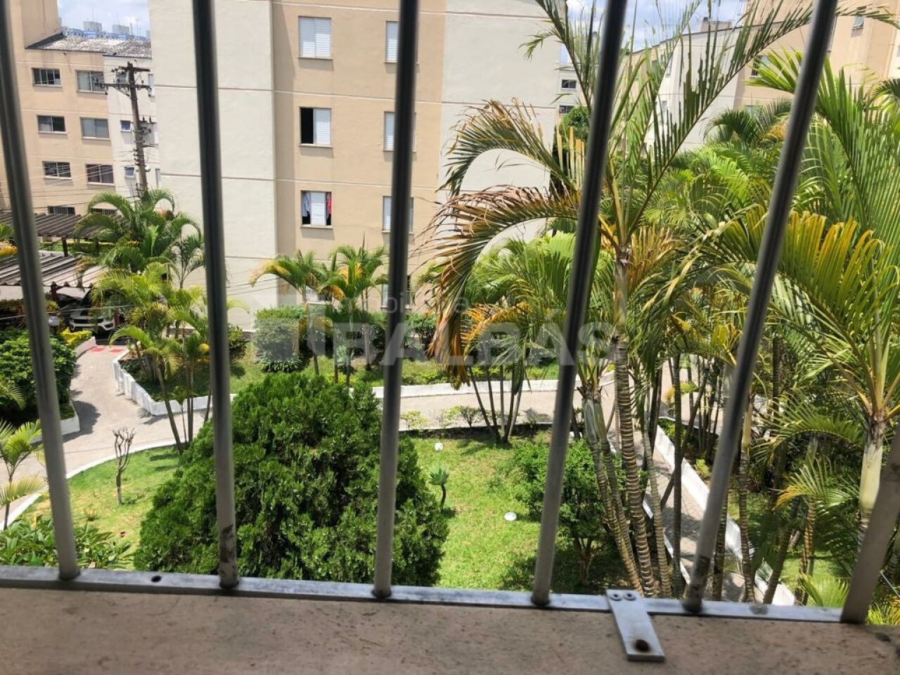 Foto 8