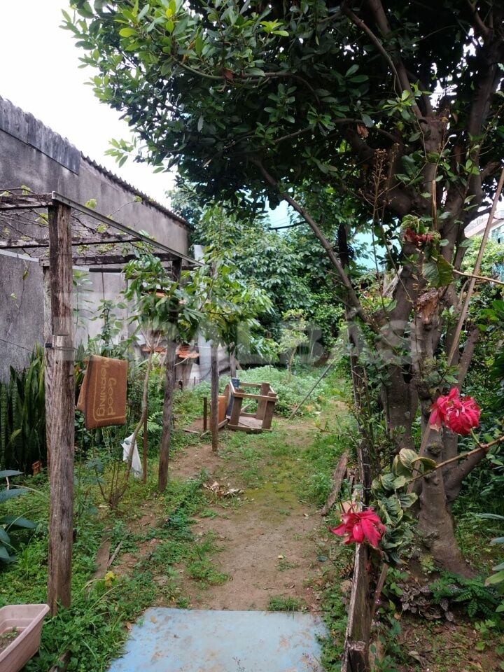 Foto 24