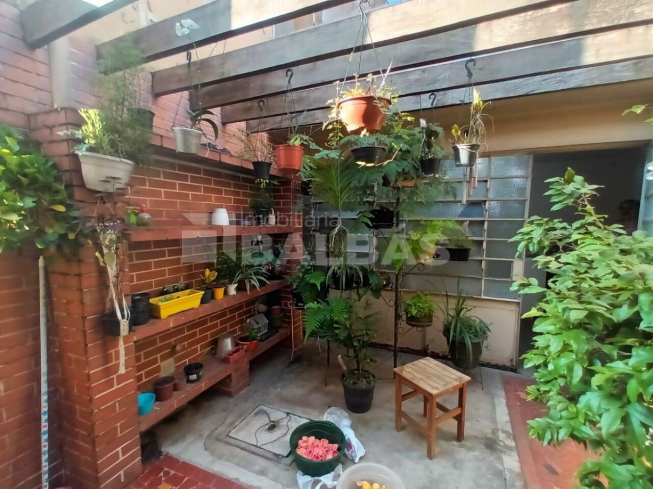 Foto 22