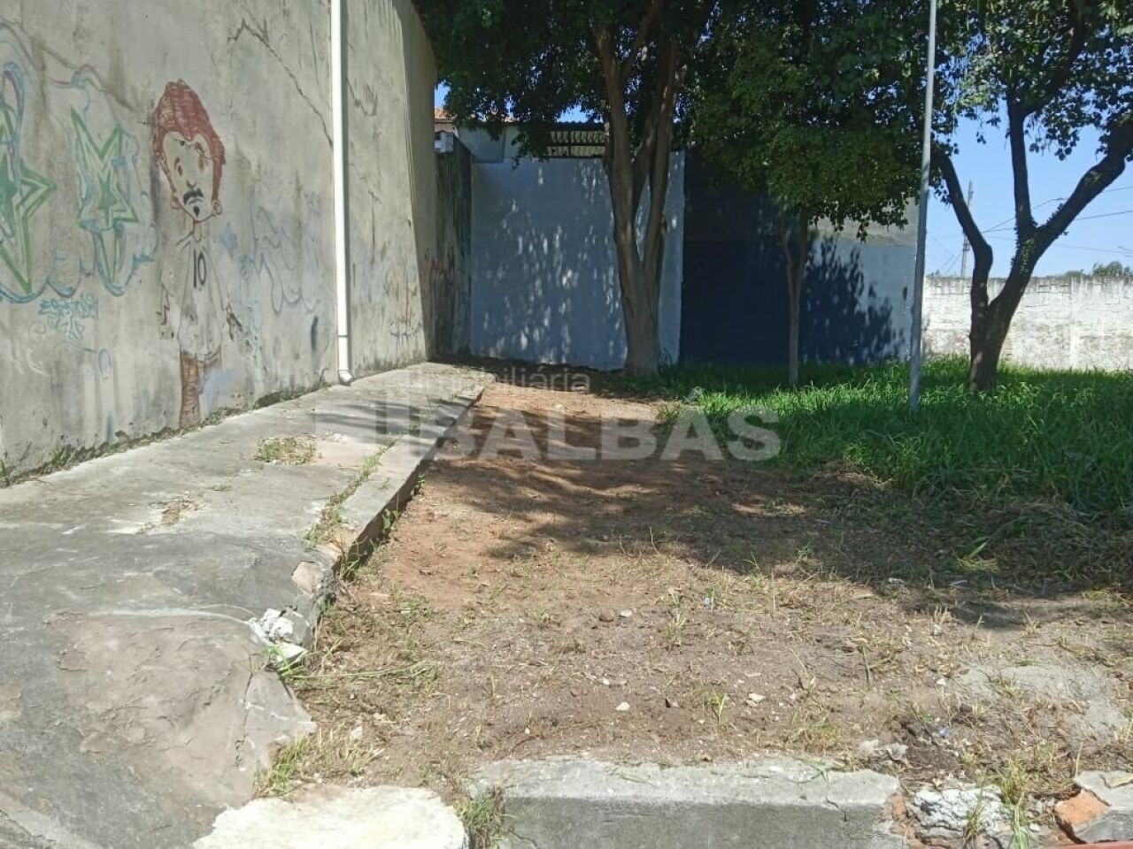 Foto 21