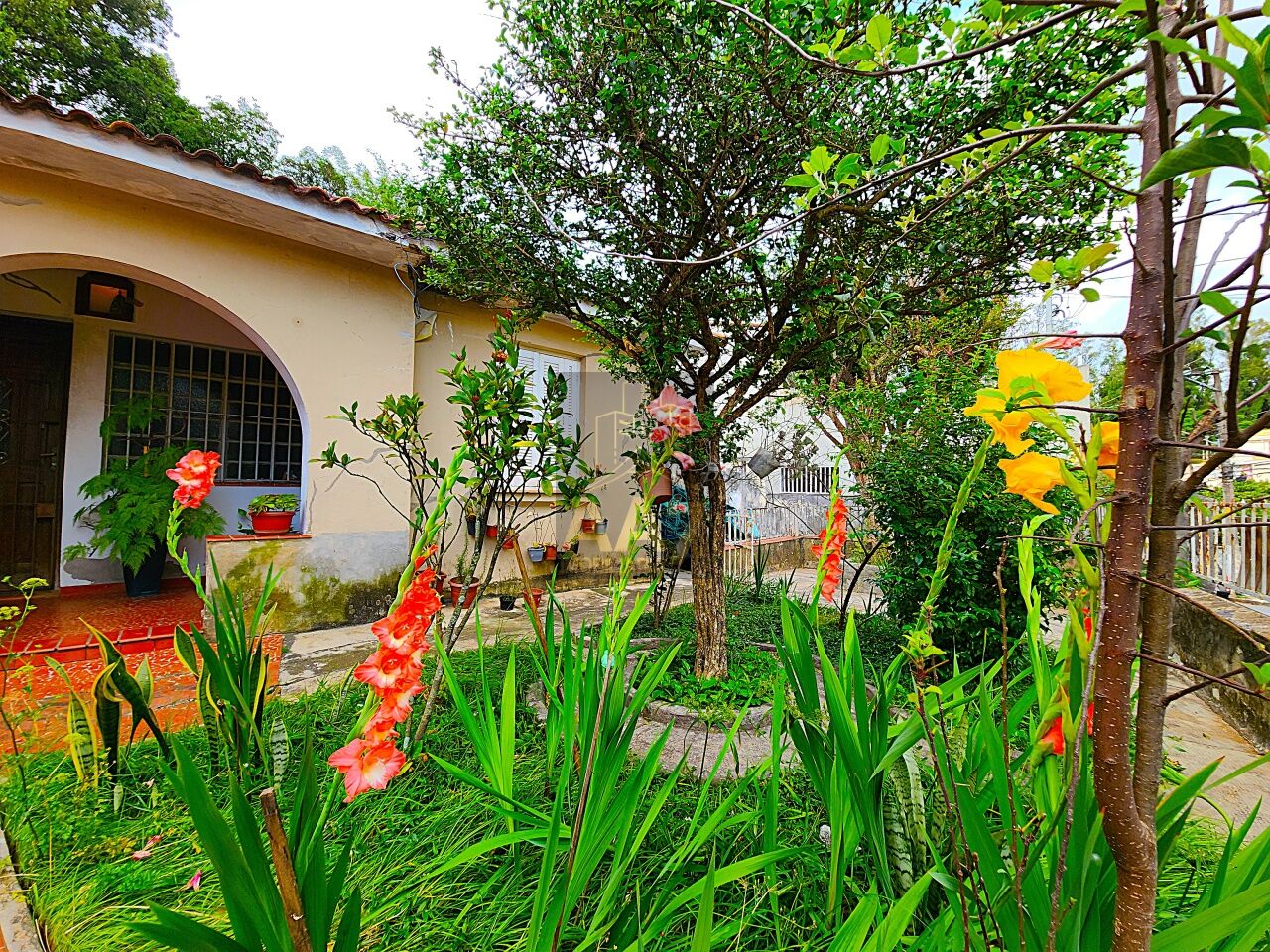 Casa Térrea para Venda - Vila Indiana