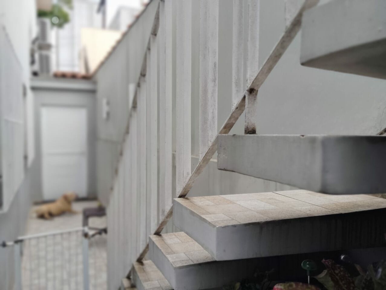 Foto 6 — Casa Assobradada em Planalto Paulista