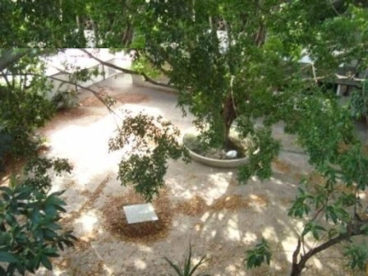 Foto 9 — Comercial em Planalto Paulista