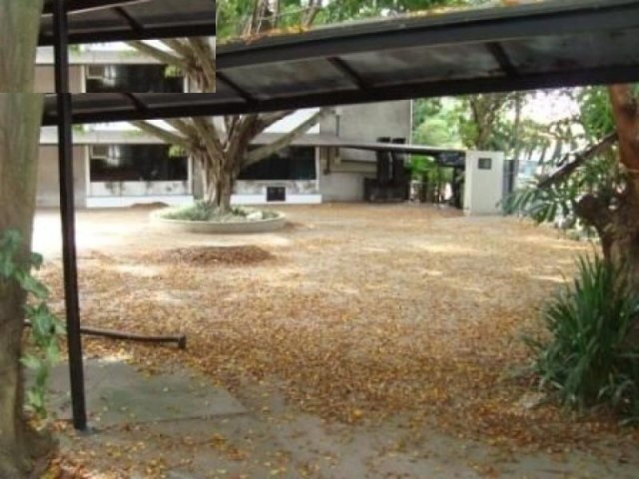 Foto 5 — Comercial em Planalto Paulista