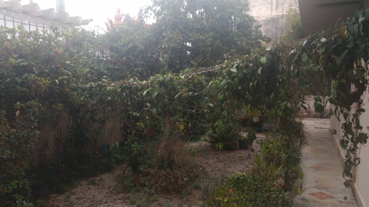 Foto 14 — Casa Térrea em Interlagos
