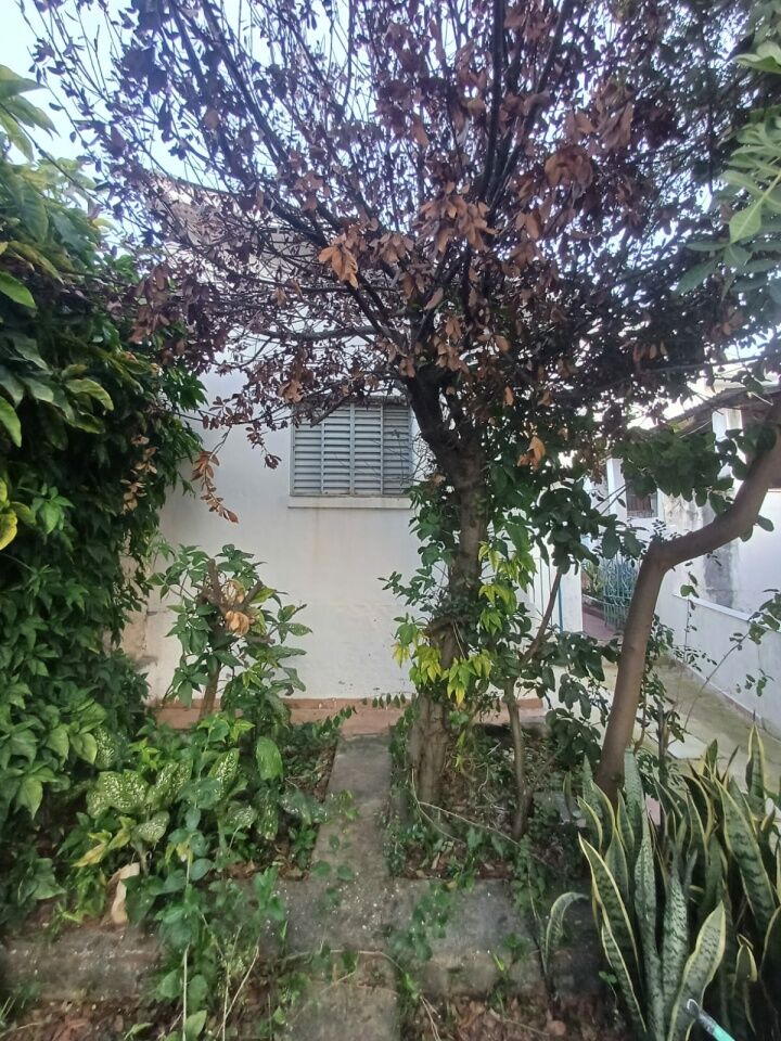 Foto 3 — Casa Térrea em Vila Guarani Z Sul