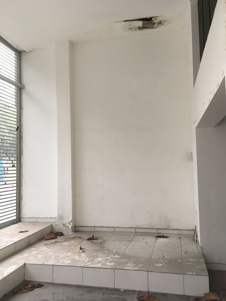 Foto 2 — Comercial em Indianópolis