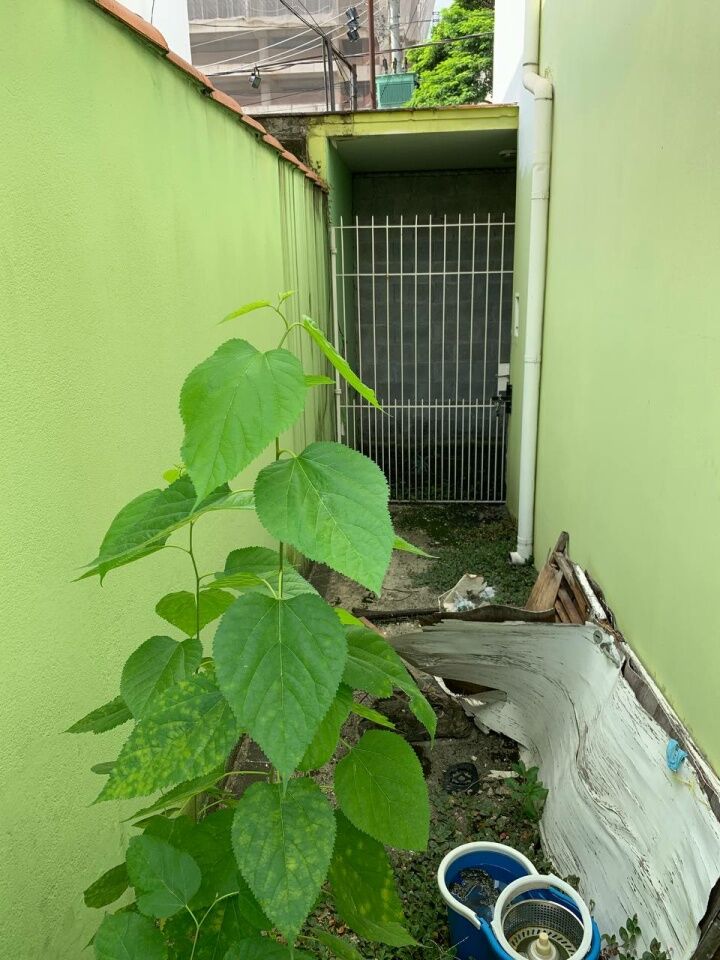 Foto 15 — Comercial em Indianópolis