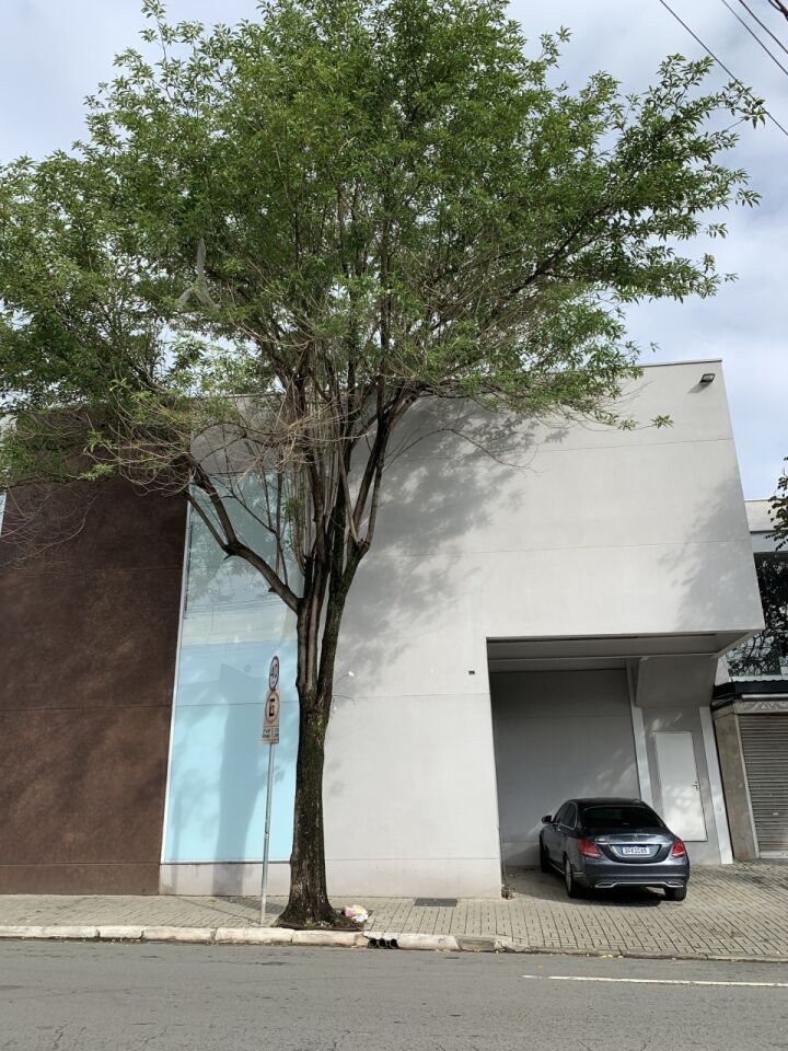 Foto 4 — Comercial em Indianópolis