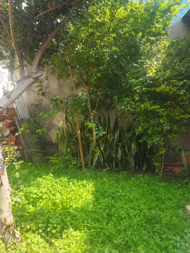 Foto 12 — Casa Térrea em Vila Guarani Z Sul