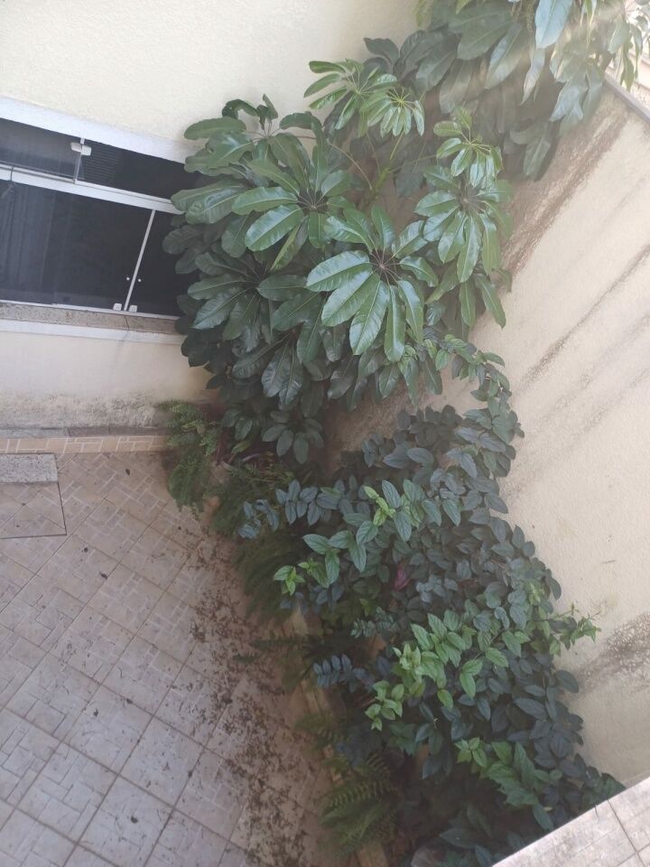 Foto 11 — Sobrado em Mirandópolis
